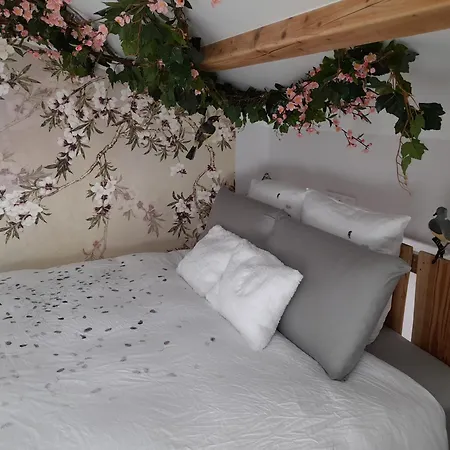Bed & Breakfast Insolite Chambre Tourterelle *